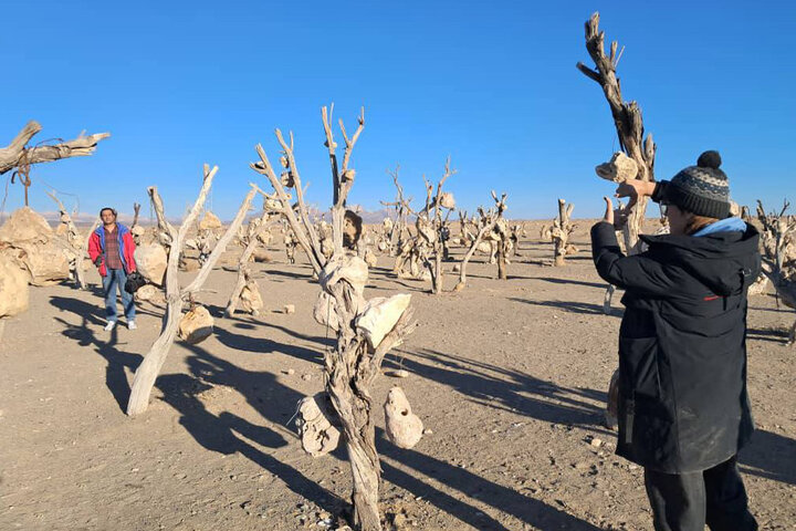 «باغ بهشت» ایرانی در جشنواره انگلیسی