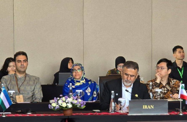 ایوبی: فرهنگ و هنر، سرمایه راهبردی صلح جهانی است