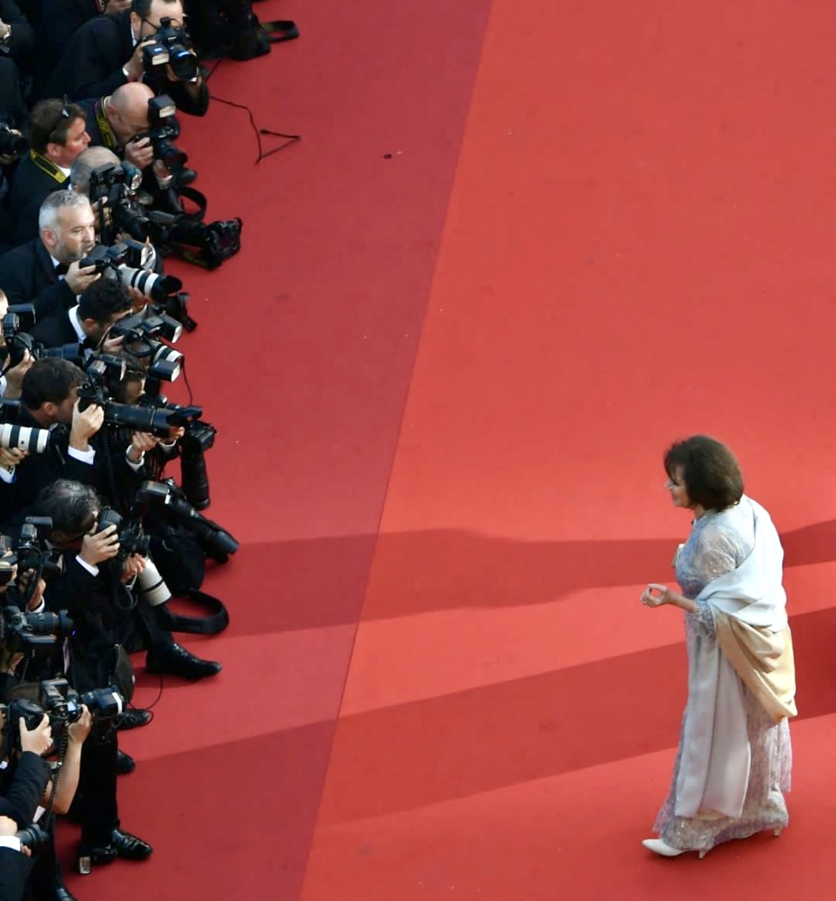 ادای احترام فستیوال‌های کن و ونیز به بانوی سینمای کلاسیک؛ کلودیا کاردیناله