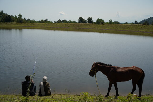 از قصه عشق تا کمدی در آسایشگاه اعصاب و روان