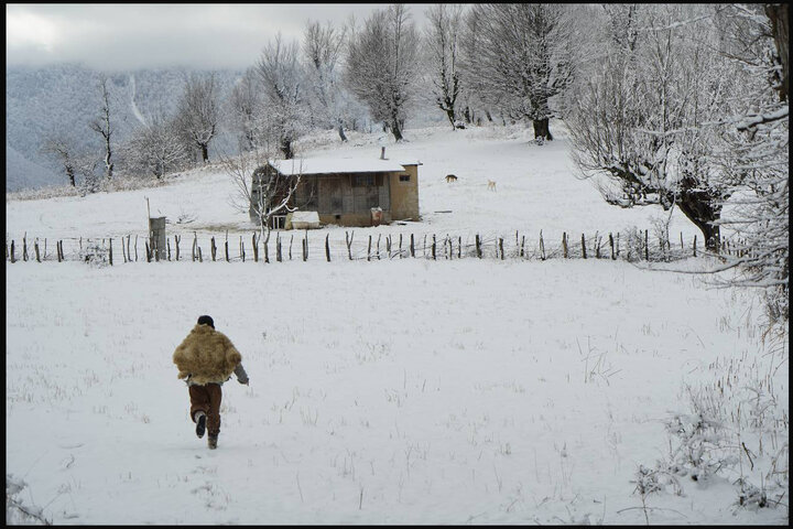 فیلم‌های غیراجتماعی مهجور شده‌اند!