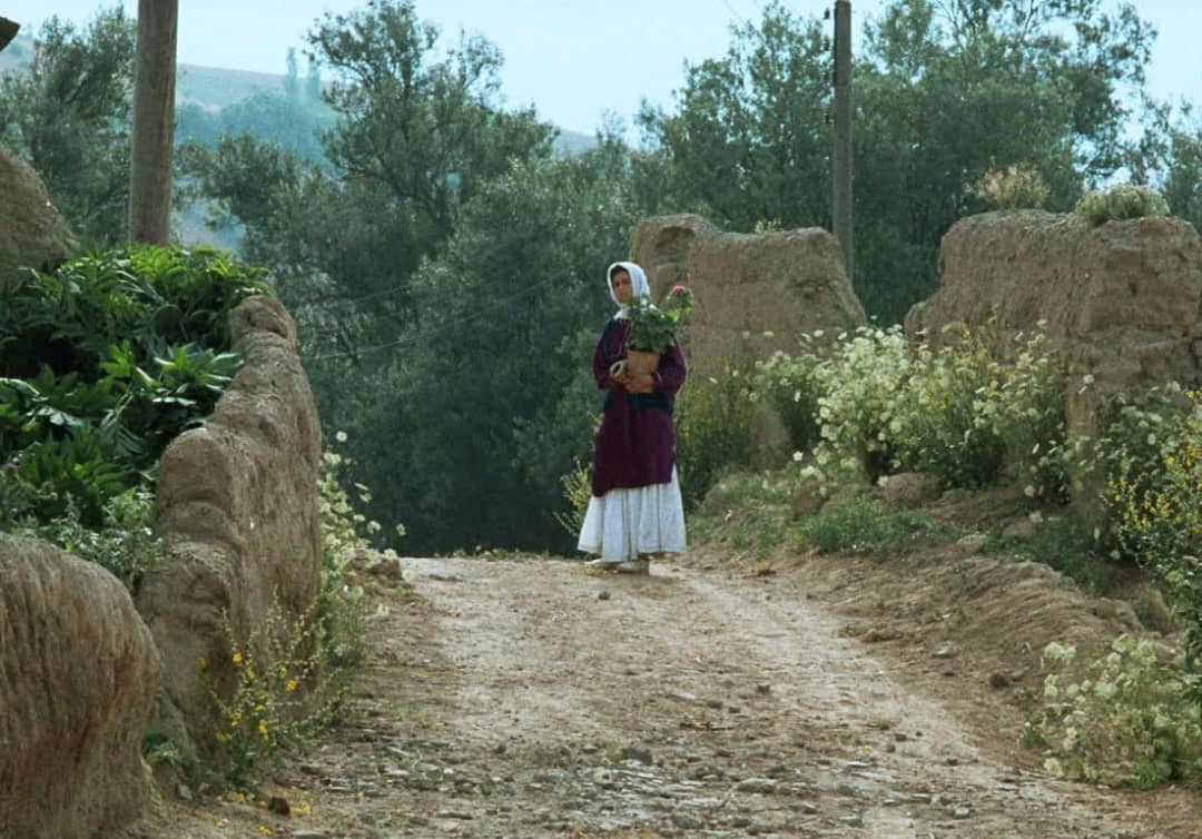 نمایش نسخه مرمت شده «زیر درختان زیتون» در موزه سینما