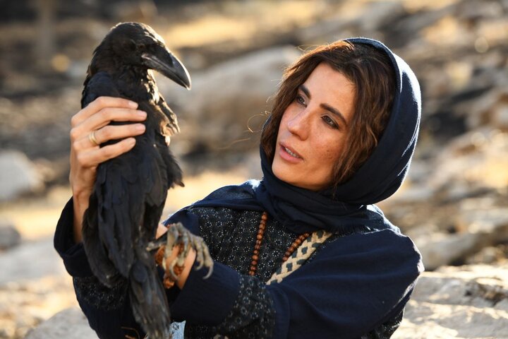 ۴ فیلم آماده نمایش و یک فیلم در پیش‌تولید