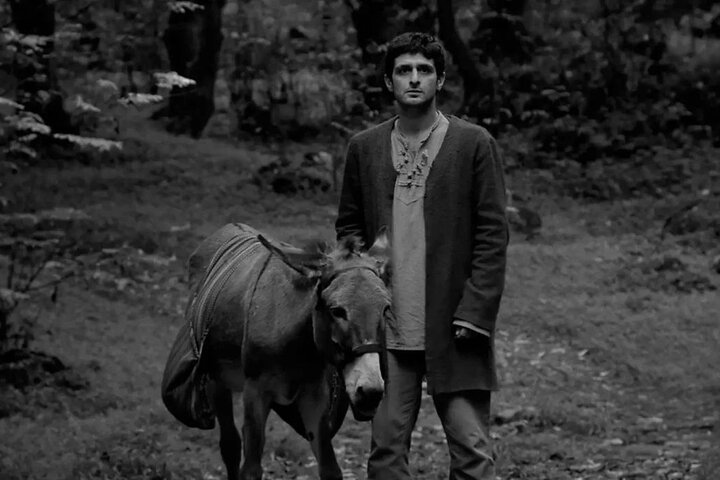 «به باد هم بگو» از آرژانتین جایزه گرفت؛ سفر به اسپانیا