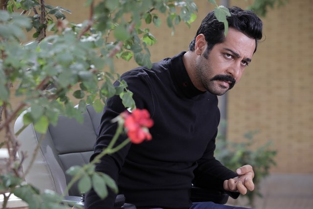 کامران تفتی با «کازابلانکا» روی صحنه است