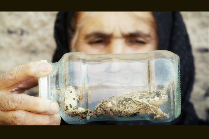 همزیستی ۴ ساله با لک‌لک‌ها