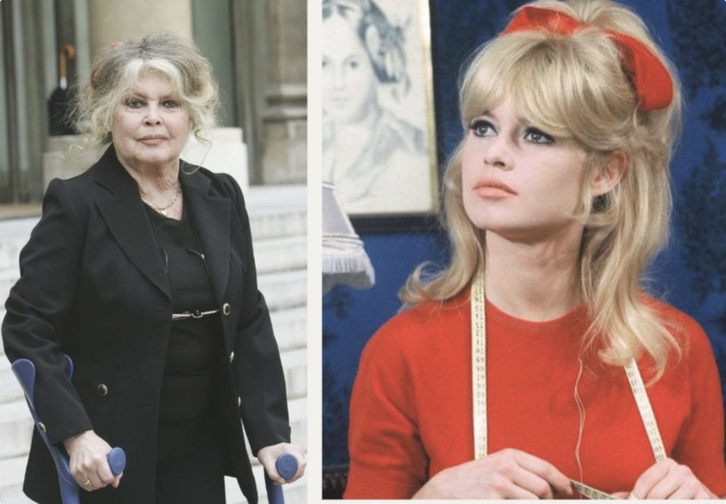 درگذشت بازیگر «و خدا زن را آفرید»؛ مرگ بریژیت باردو در ۹۱ سالگی