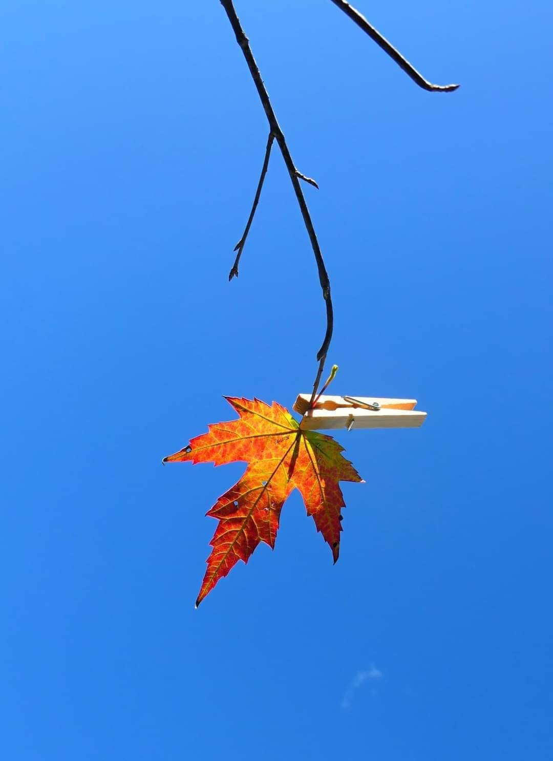 کدام هنرمندان شایسته تحسین هستند!