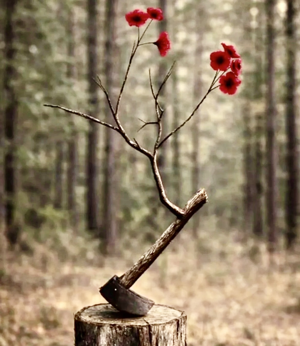 آمریکا بالاخره می‌تواند کاری بکند یا نه؟!