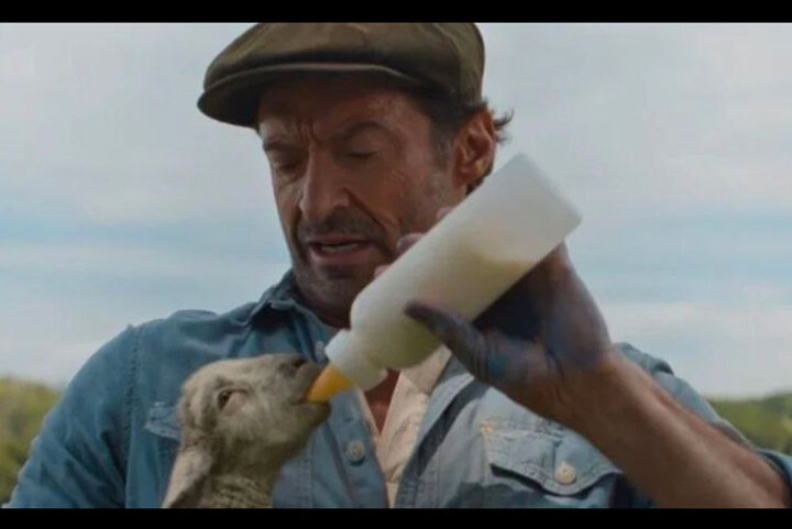 «کارآگاهان گوسفند»؛ بهترین فیلم هیو جکمن که ساخته شد!